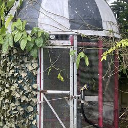 Huge iron heavy birds cage