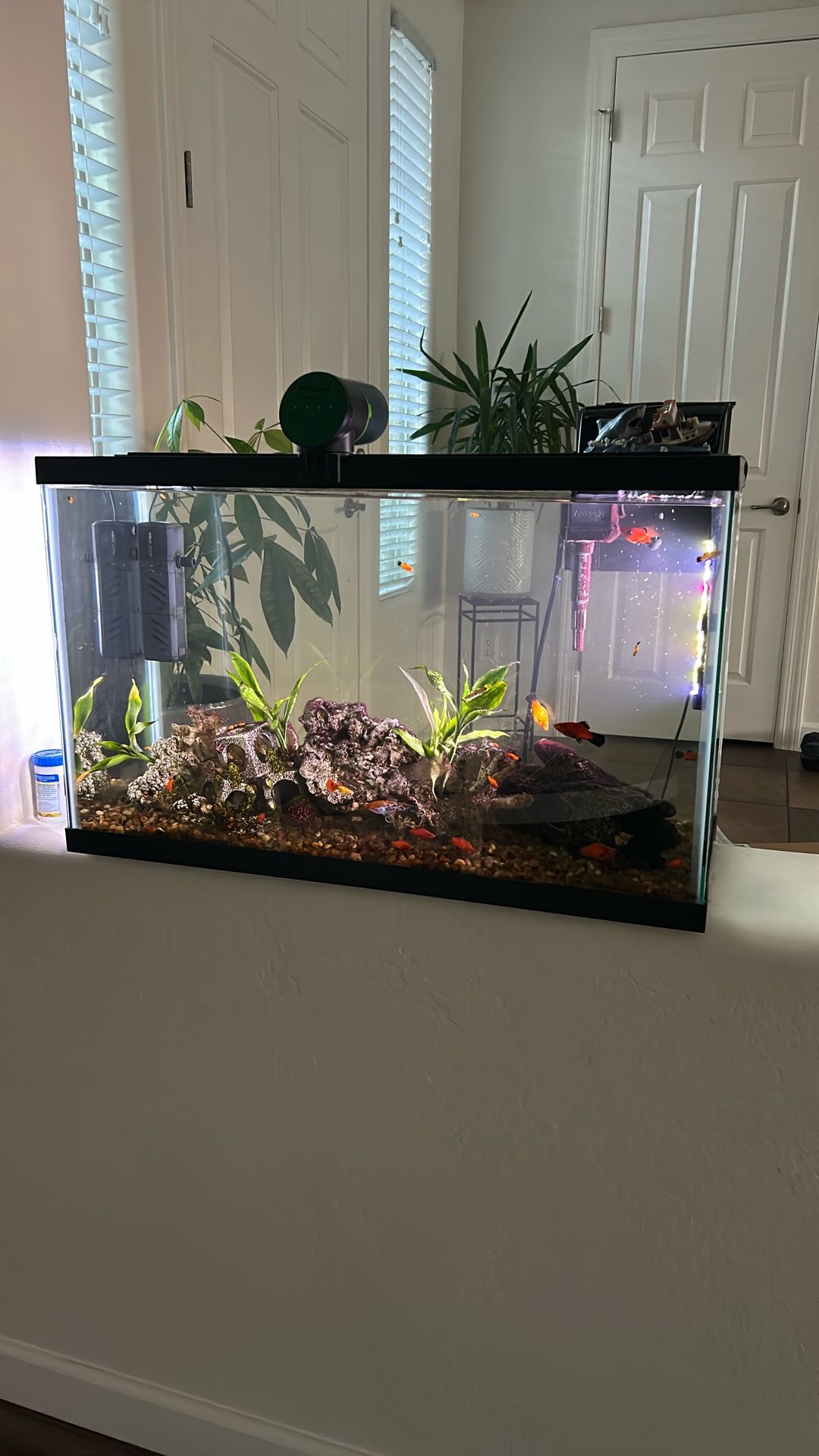 Fish Tank For Sale 