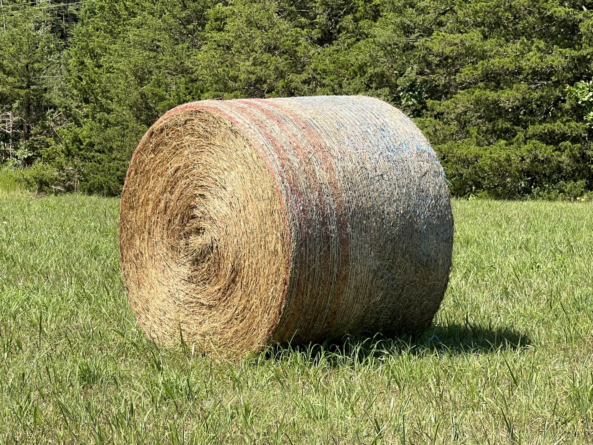 Hay For Sale