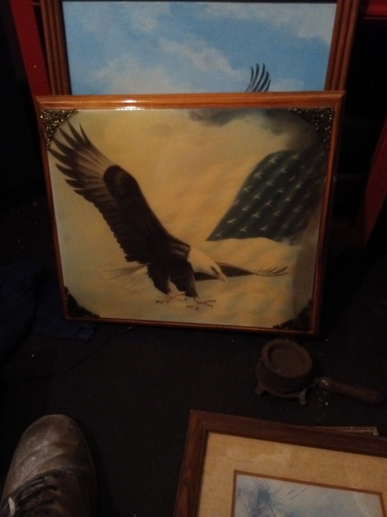 18 1/2 X 16 1/2 Eagle Picture