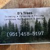 B’s.951.418.5197Trees