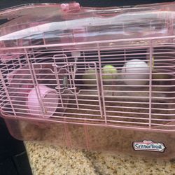 Hamster Cage