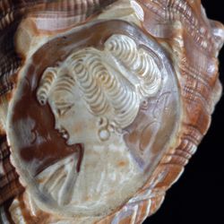 Original Carved Conch Shell Cameo Representation