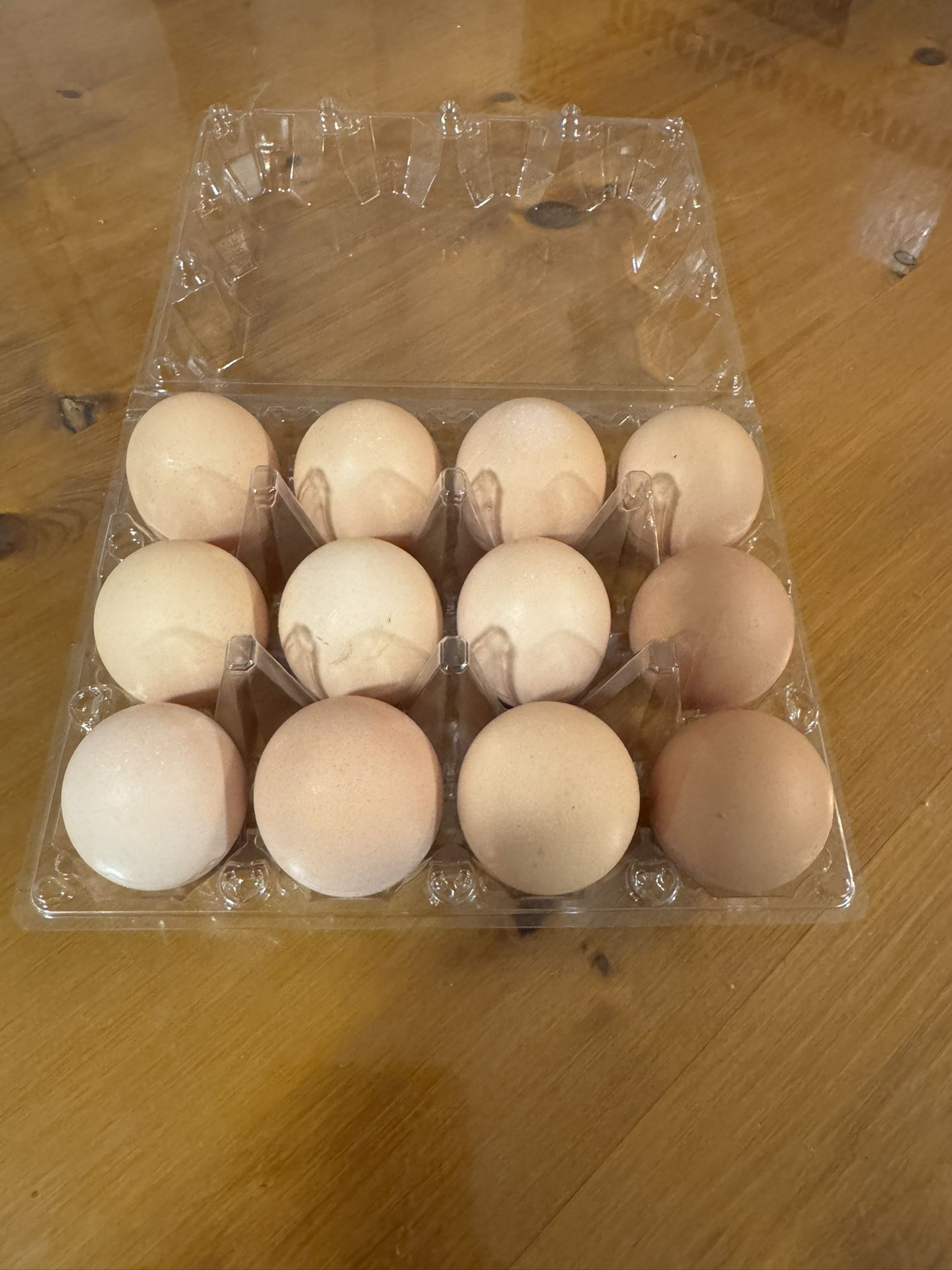 Farm Chicken Eggs $6/dozen