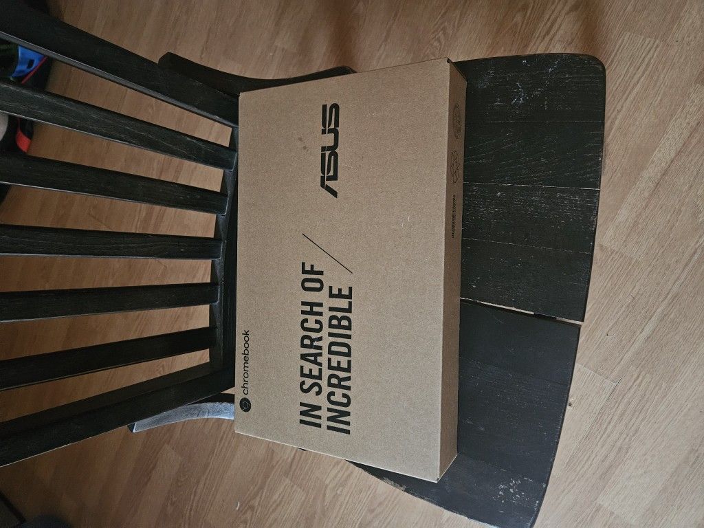 Asus Chromebook C204e