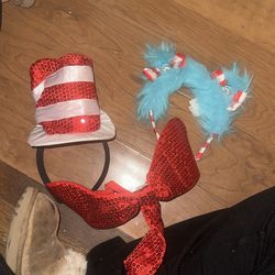 Cat In The Hat Accessories 