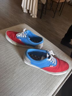 Men’s Vans Doheny Special Addition Shoes