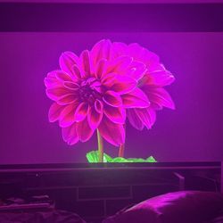 Epson 4k HDR Projector 