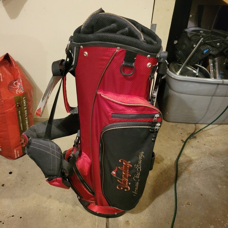 Pollini Leather Golf Bag for Sale in Pittsburgh, PA - OfferUp