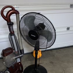 Fan