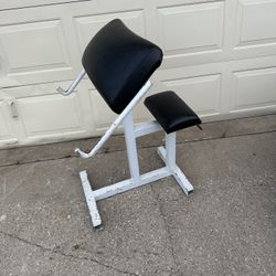 Preacher Curl Bench