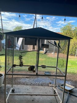 bird cage