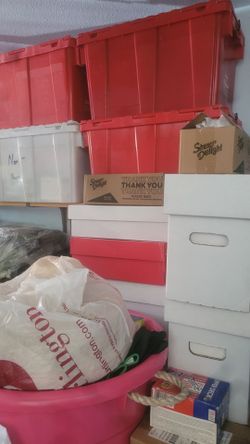 COLLECTIBLES & EXCLUSIVES