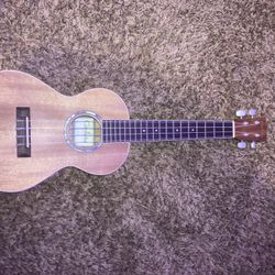 Cordoba Tenor Ukulele 