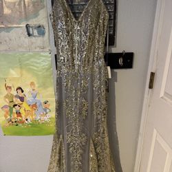 Silver/Gold Prom Dress 