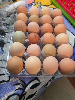 Eggs / huevos