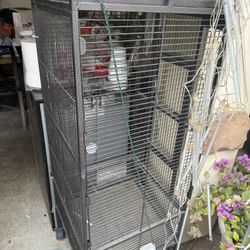 5 ft Metal bird cage 
