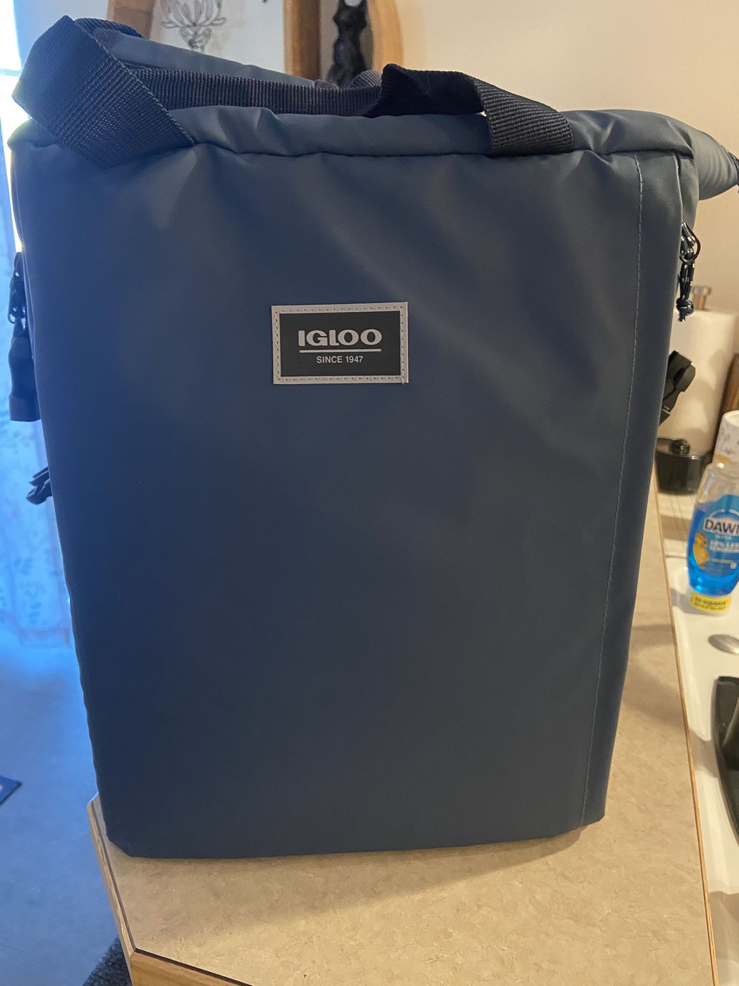 Igloo Backpack Cooler