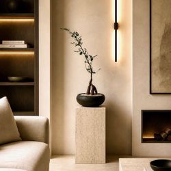Operculicarya Decaryi/ Elephant Tree (Handmade Planter Included) #C2