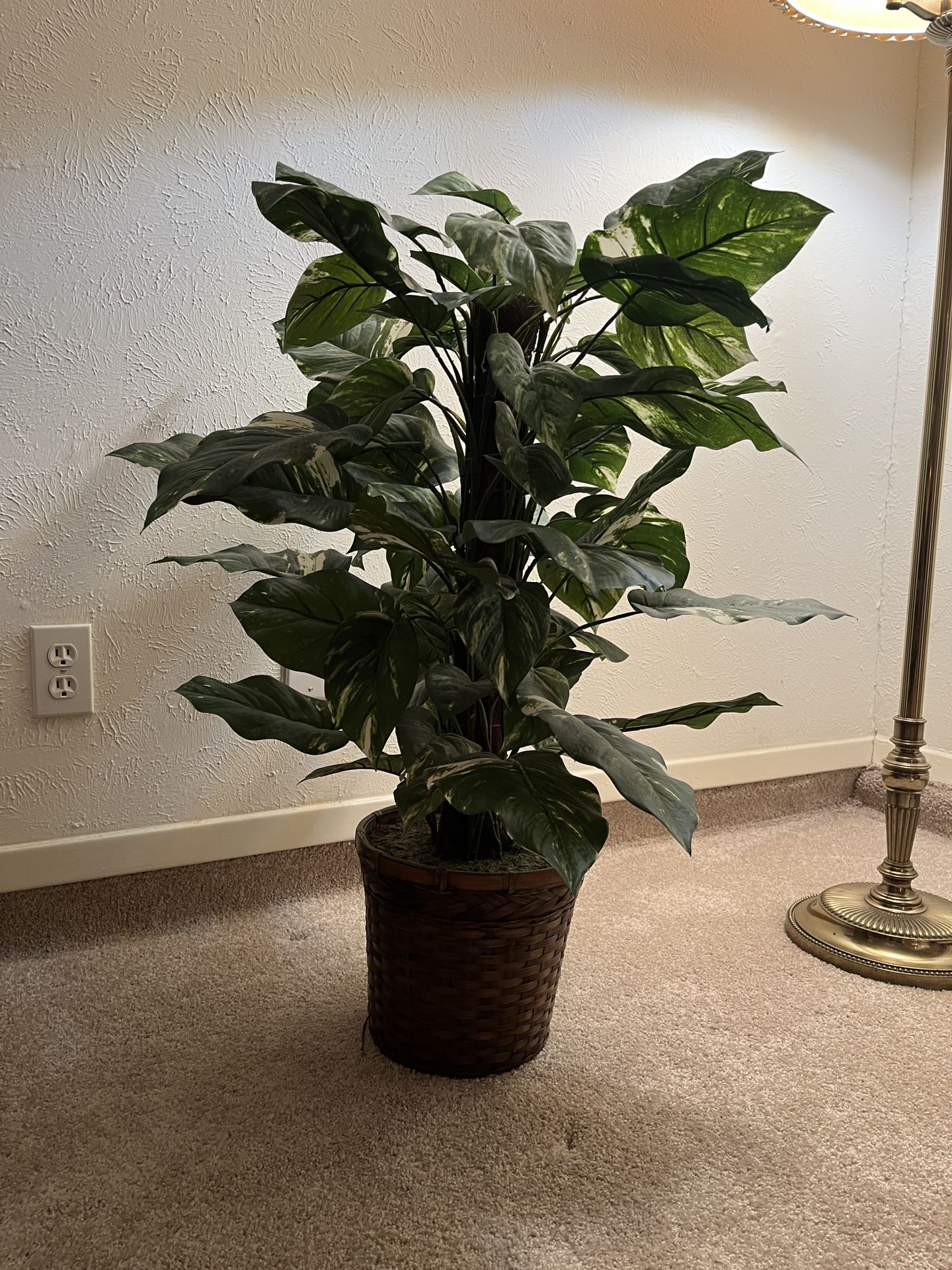 REDUCED. Beautiful Faux House Plant