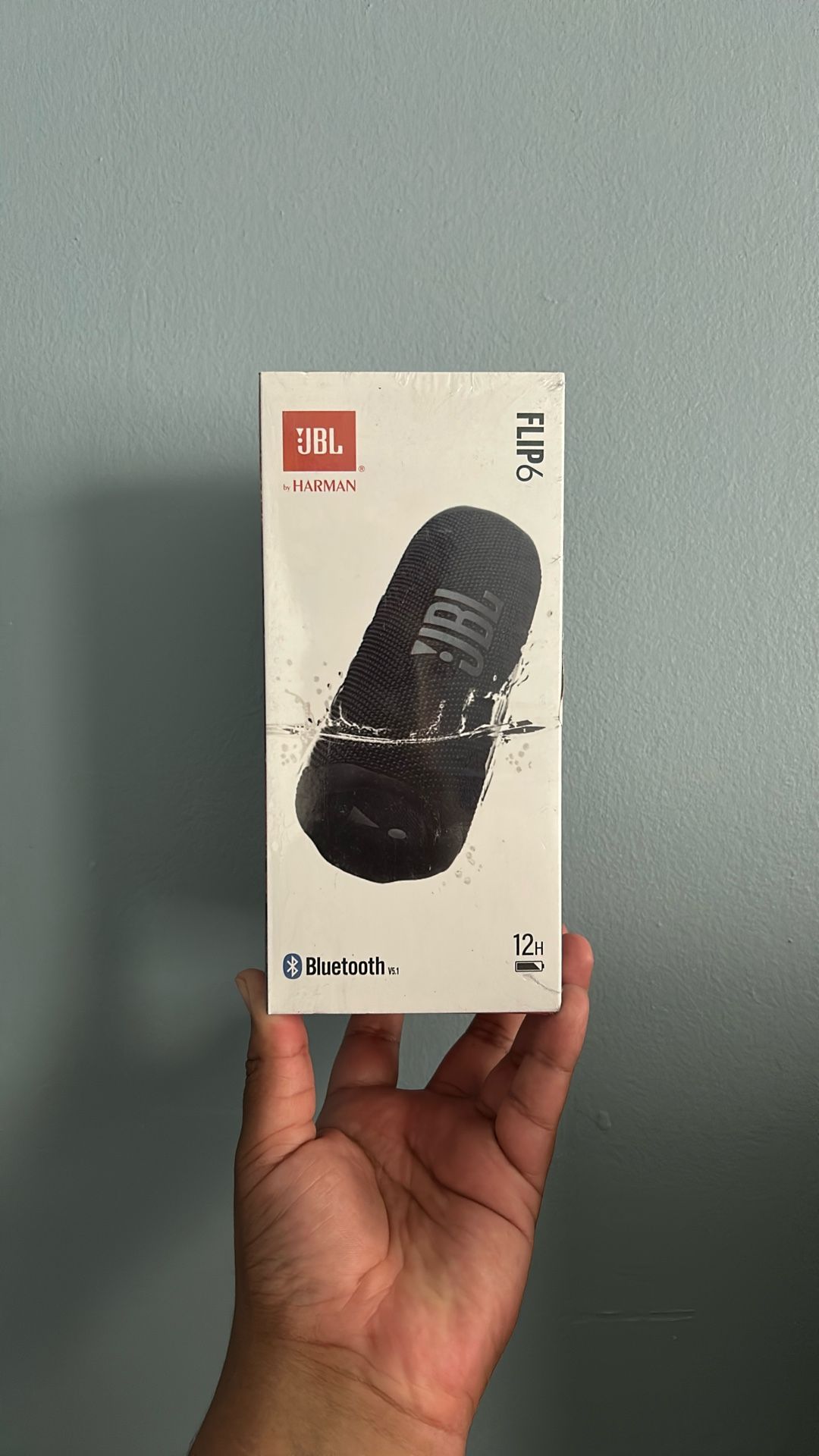 JBL Flip 6