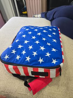 Insulated Pyrex carring case