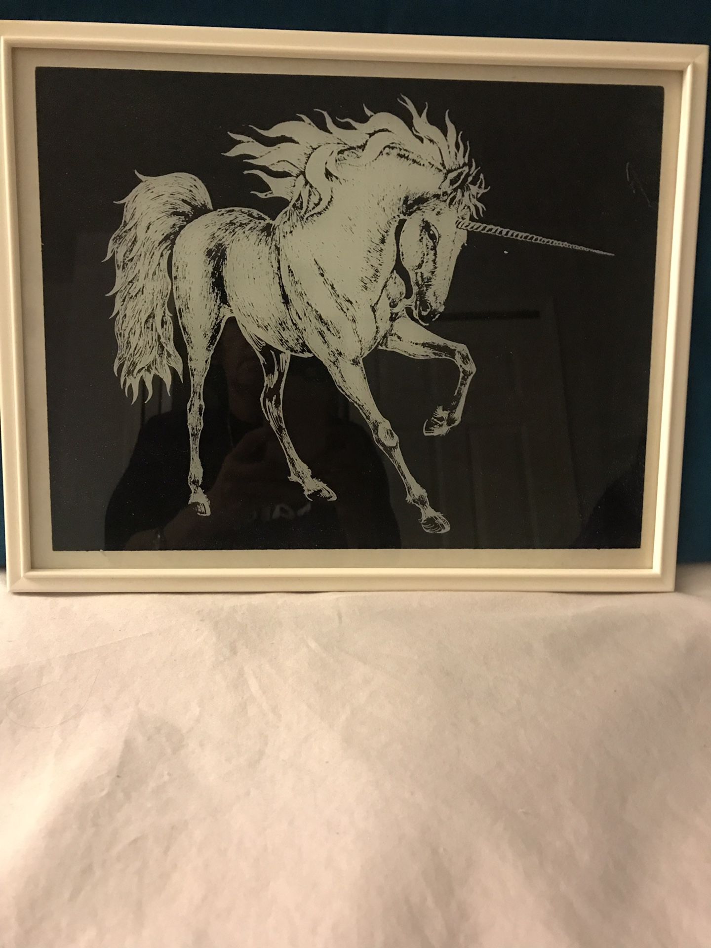 Black and White Unicorn Picture Best and Final Price Reduction