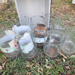 Glass Vases