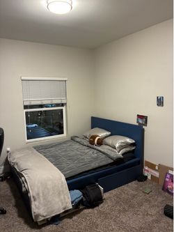 Bed Frame + Mattress
