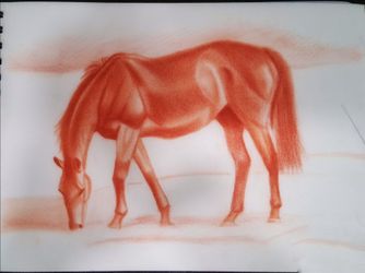 Hand-made drawing (HORSE)