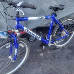 Raleigh M20 Mountain Bike
