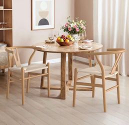Wagner Woven Solid Wood Dining Chairs (Set of 2)