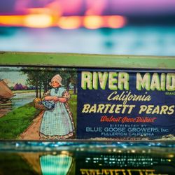 Vintage 1950s River Maid California Bartlett Pears Large Tin