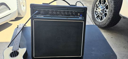 Acoustic AG30 Guitar Amplifier