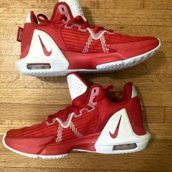 LeBron Witness 6