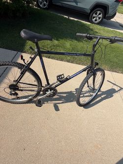 Trek mountain Track bike