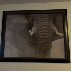 Elephant panting