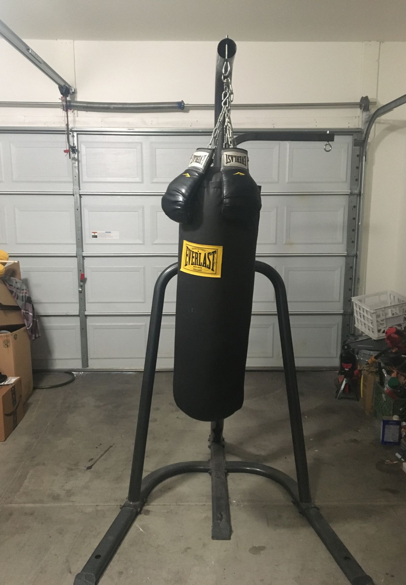 Everlast boxing bag and gloves included