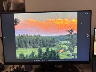 HP 24 inch monitors