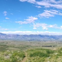 Fall Cleanup And Gutter Cleaning 