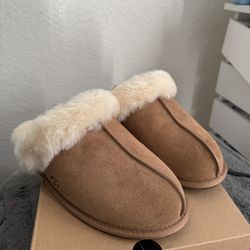uggs 