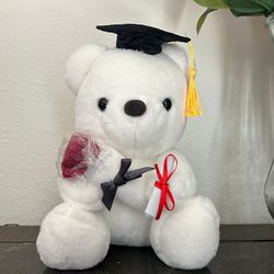 Graduation Plush  Teddy Bear