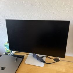 Two Dell Monitors 