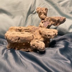 Soft Water Rock Holds Coral