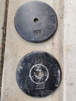25lbs weight plates