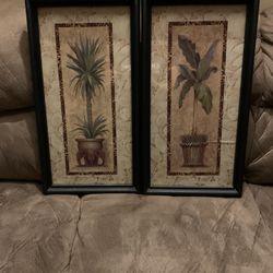 Decorative Frames