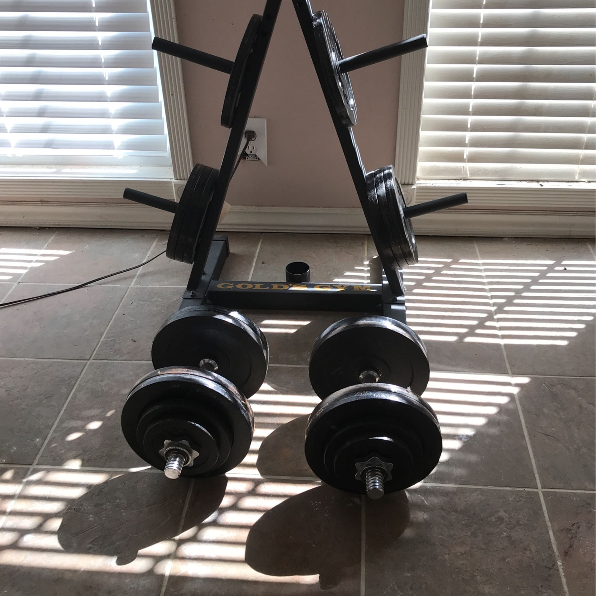 Dumbbells With Weight Lbs190 And Golds GYM Stand