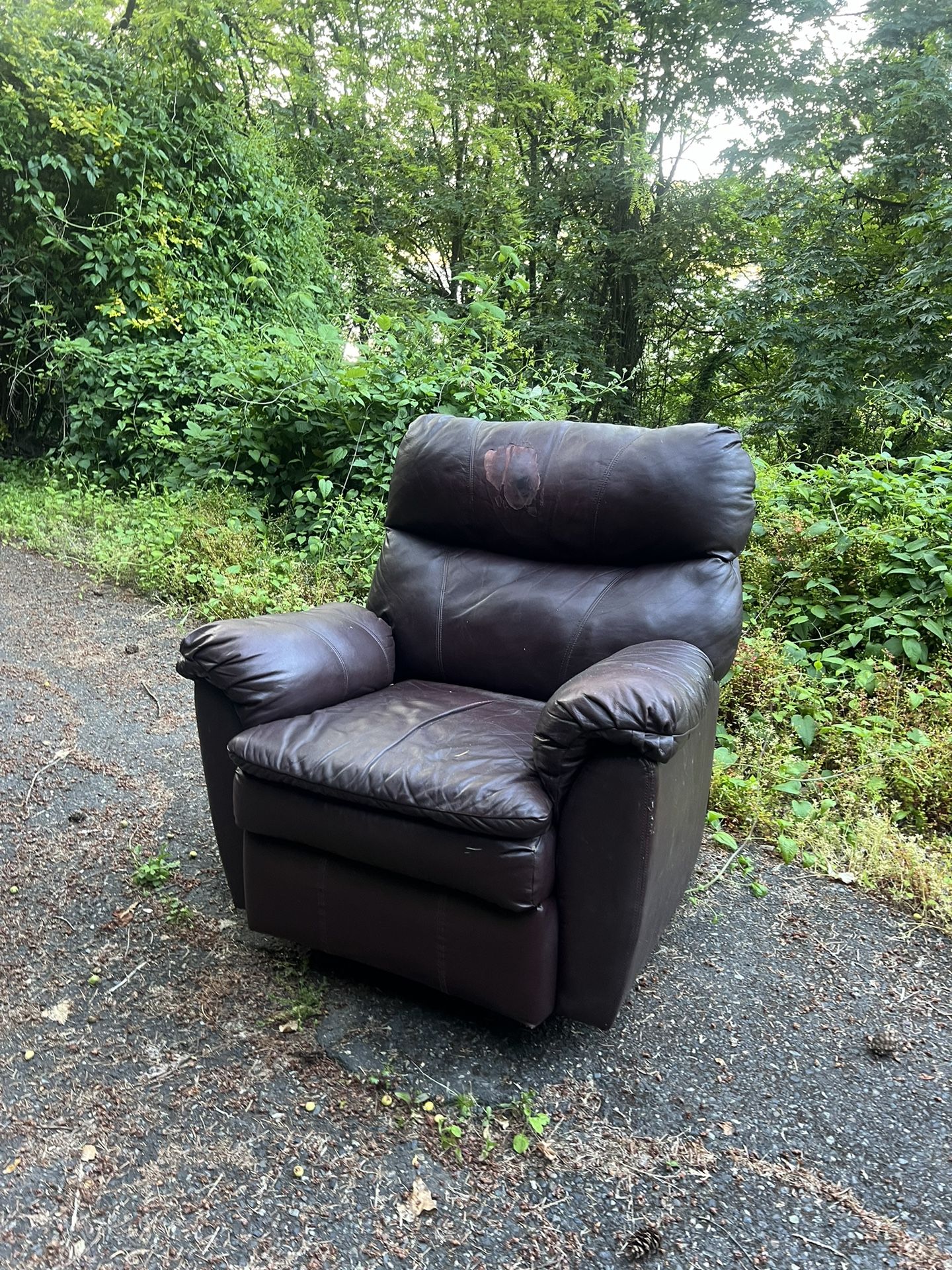 Free Recliner Chair