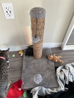 Cat Scratching Toys