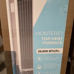 New Williams 25,000 btu Wall Heater 25k BTU Furnace Top Vent Natural Gas